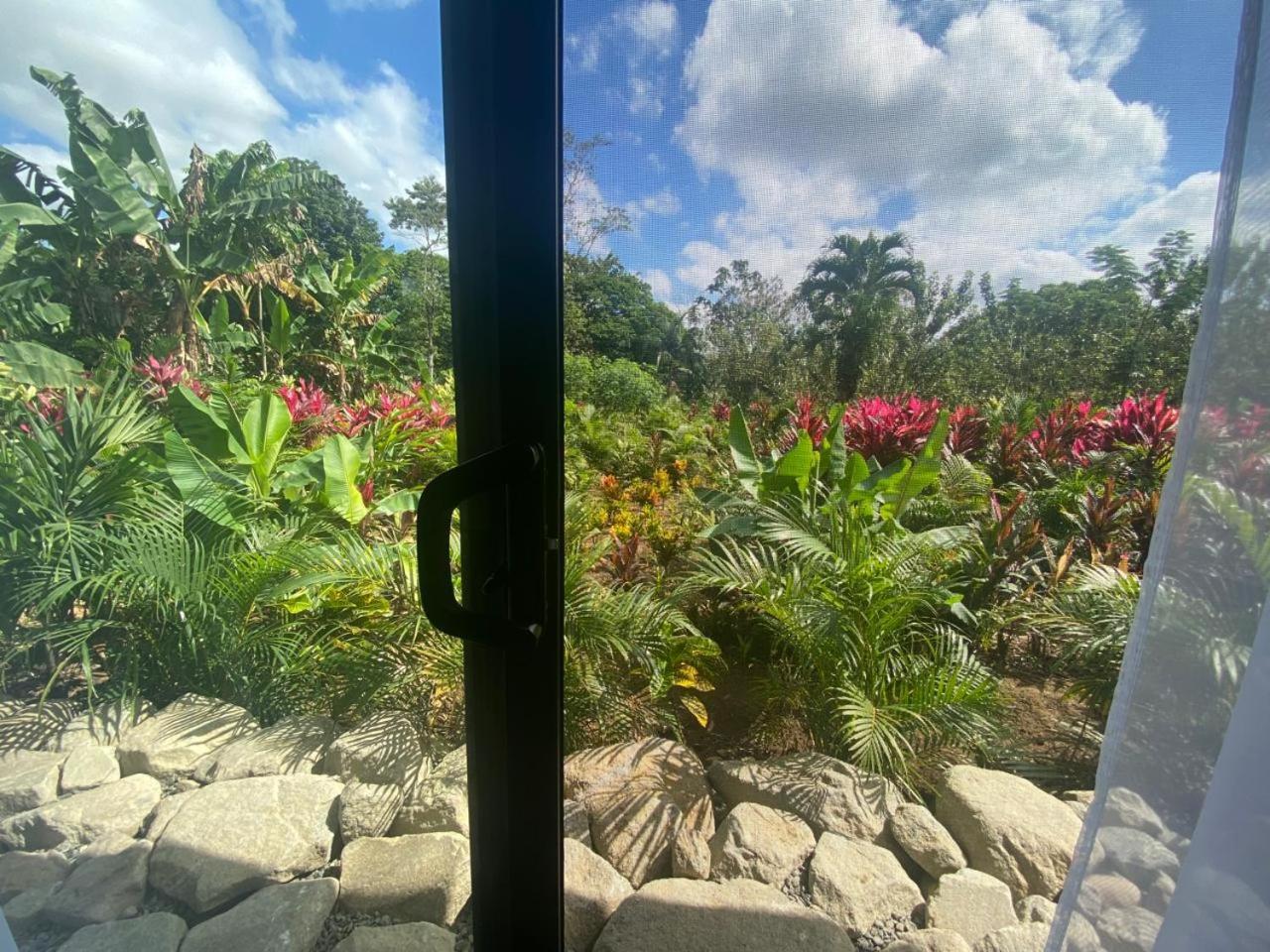 Toucan Home La Fortuna Buitenkant foto
